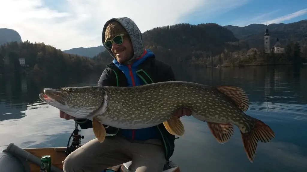 brochet lac bled fisher